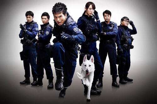 中央司法警官学院学位证办理